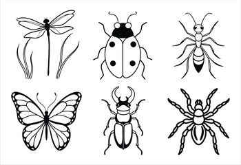 A set of six insect vector line art designs. Simple collection. Isolated bundle on white background.
