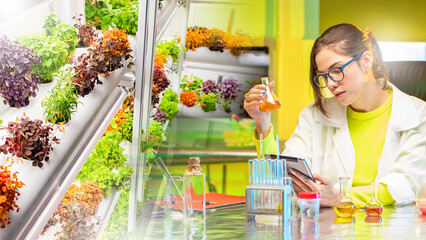 Woman creates medicine from herbs. Pharmacologist develops plant-based medicines. Shelves with plants with medicinal properties near scientist. Pharmacologist woman in coat holds test tube and tablet