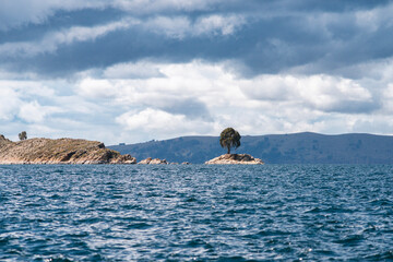 lonely tree on the island