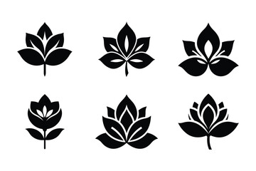 Mahogany (Swietenia mahagoni) silhouette vector illustration