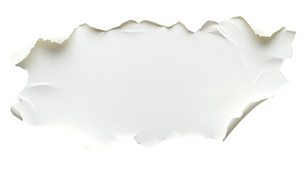 Torn white paper on white background, a textured design element for creative projects
