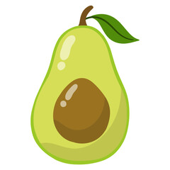 illustration of avocado