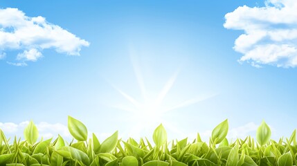 Fototapeta premium Bright Sunny Day Over Lush Green Grassy Field