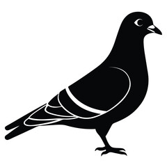 Pigeon vector shilhouette bundle. Pigeon Silhouette. 