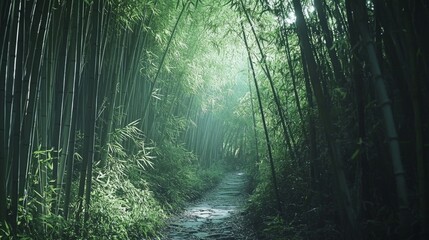 Obraz premium Tranquil Bamboo Forest Pathway Surrounded by Lush Greenery