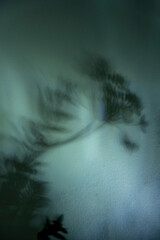 Abstract Shadow of Flowers on a Textured Background, Dreamy and Artistic