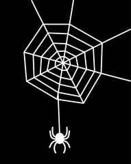 A white spider with a spider's web on a black background - vector