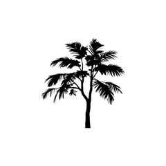 Obraz premium Black Plam tree silhouette vector illustration on white background 