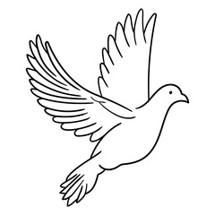 Hand drawn doodle flying dove on white background.
