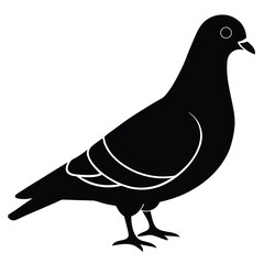 Pigeon vector shilhouette bundle. Pigeon Silhouette. 