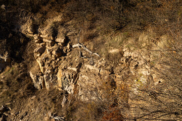 Rocky cliff with rough textures, golden sunlight, and sparse vegetation. The rugged terrain highlights natural erosion, with scattered dry plants and earthy tones dominating the landscape.