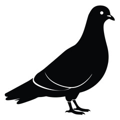 Fototapeta premium Pigeon vector shilhouette bundle. Pigeon Silhouette. 