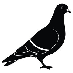 Pigeon vector shilhouette bundle. Pigeon Silhouette. 