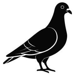 Pigeon vector shilhouette bundle. Pigeon Silhouette. 