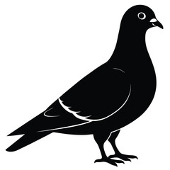 Pigeon vector shilhouette bundle. Pigeon Silhouette. 