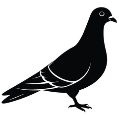 Pigeon vector shilhouette bundle. Pigeon Silhouette. 