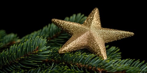 Golden star on fir branch, dark background. Xmas card design