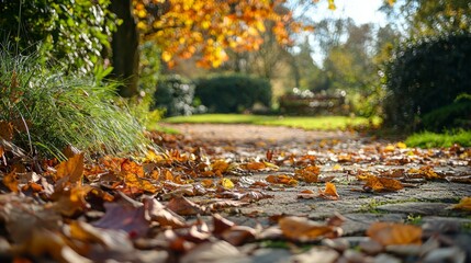Beautiful Autumn Scene with Colorful Leaves on a Park Pathway
