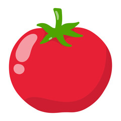 tomato vector illustration