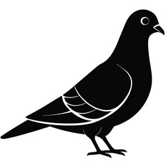 Pigeon vector shilhouette bundle Set Collection
