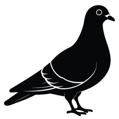 Pigeon vector shilhouette bundle Set Collection