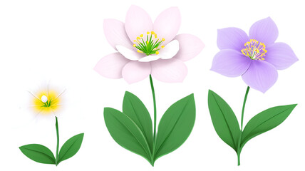 Fototapeta premium spring flowers on white background