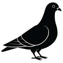 Pigeon vector shilhouette bundle Set Collection