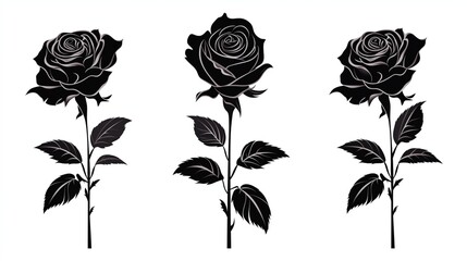 roses set silhouette vector illustration with isolated white
