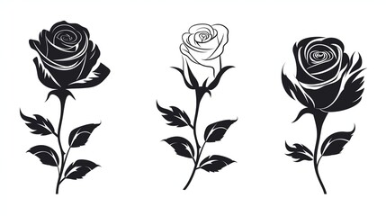  black roses set silhouette vector illustration 