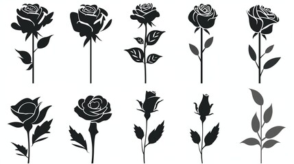 set of black vector illustration silhouettes of flowers on a white background