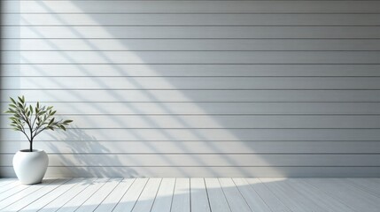 Fototapeta premium Minimalist interior design showcasing a sunlit room with a plant in a pot