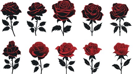  Red roses set silhouette vector illustration on a isolated white background 