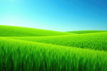 Fototapeta premium Serene Landscape of Rolling Green Hills and Vibrant Wheat Field Under a Clear Sky