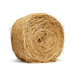 Dry hay bale isolated on white background, showcasing its texture and shape. This evokes sense of rural simplicity and agricultural life