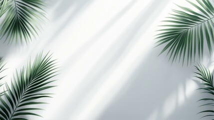 Fototapeta premium Tropical Minimalist Backdrop with Green Palm Leaves and Soft Sunlight Overlay for Nature Inspired Design