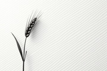 Fototapeta premium A Single Wheat Ear on a Textured White Background, a Symbol of Agriculture and Abundance