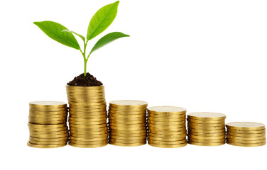 Pile of Coins with a Growing Plant on Top Symbolizing Financial Growth, Isolated on a Transparent Background, PNG format