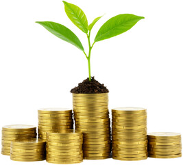 Pile of Coins with a Growing Plant on Top Symbolizing Financial Growth, Isolated on a Transparent Background, PNG format
