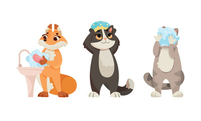 Animal Characters and Hygiene Rules Washing and Grooming Vector Set