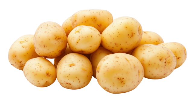 Fresh golden potatoes piled together, small to medium size, earthy texture, perfect for cooking or baking, copy space available. Isolated on white background or PNG