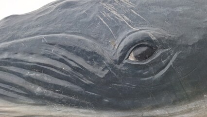 Close-up of the whale statue in the park