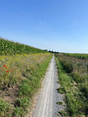 Bicycle path around Nij Beets in Friesland