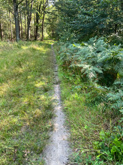 Bicycle path around Beesterzwaag in Friesland