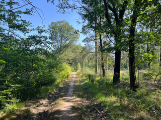 Bicycle path around Beesterzwaag in Friesland