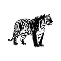 Tiger Silhouette With white background