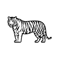 Tiger Silhouette With white background