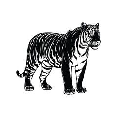 Tiger Silhouette With white background