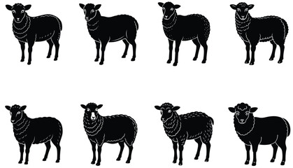 sheep vector shilhouette bundle. Sheep Vector set icon