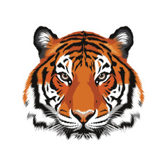 Tiger Head Silhouette With white background