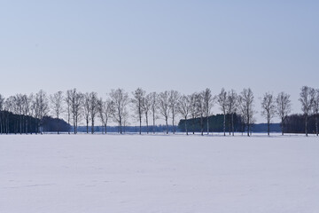 北海道の雪景色